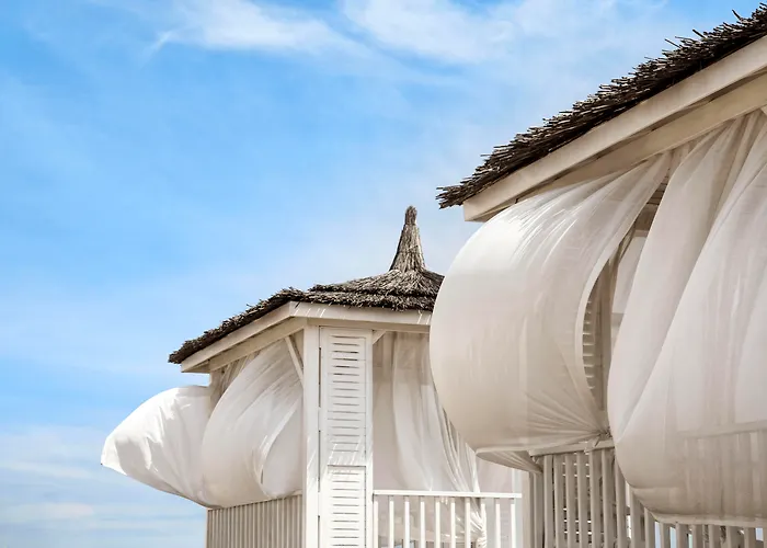 Lara Barut Collection